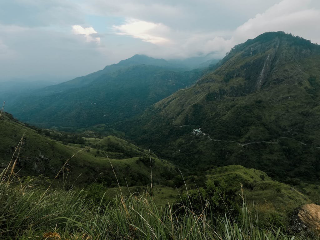 Hills in a Valley Covered with Fog