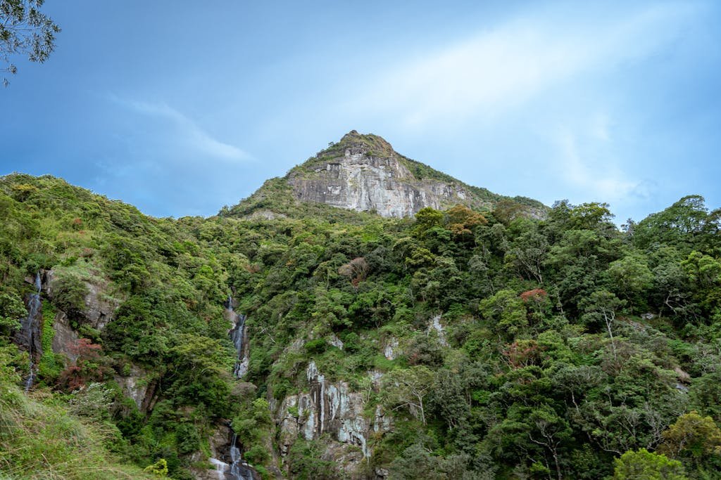 Rocky Steep Mountain Covered with Trees