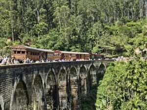 Discover the Magic of Sri Lanka: Unforgettable Tours