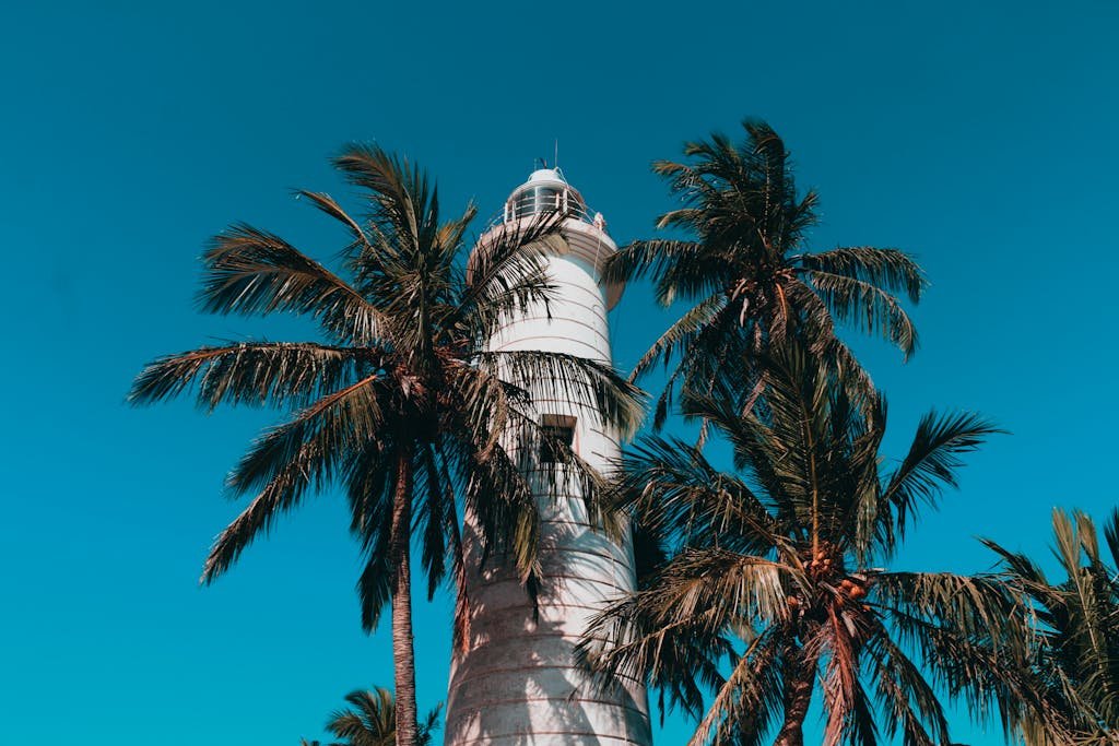 Scenic view of Galle Lighthouse amidst palm trees in Sri Lanka under a clear sky.