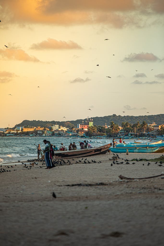Scenic view of Trincomalee beach at sunset featuring boats, birds, and people.